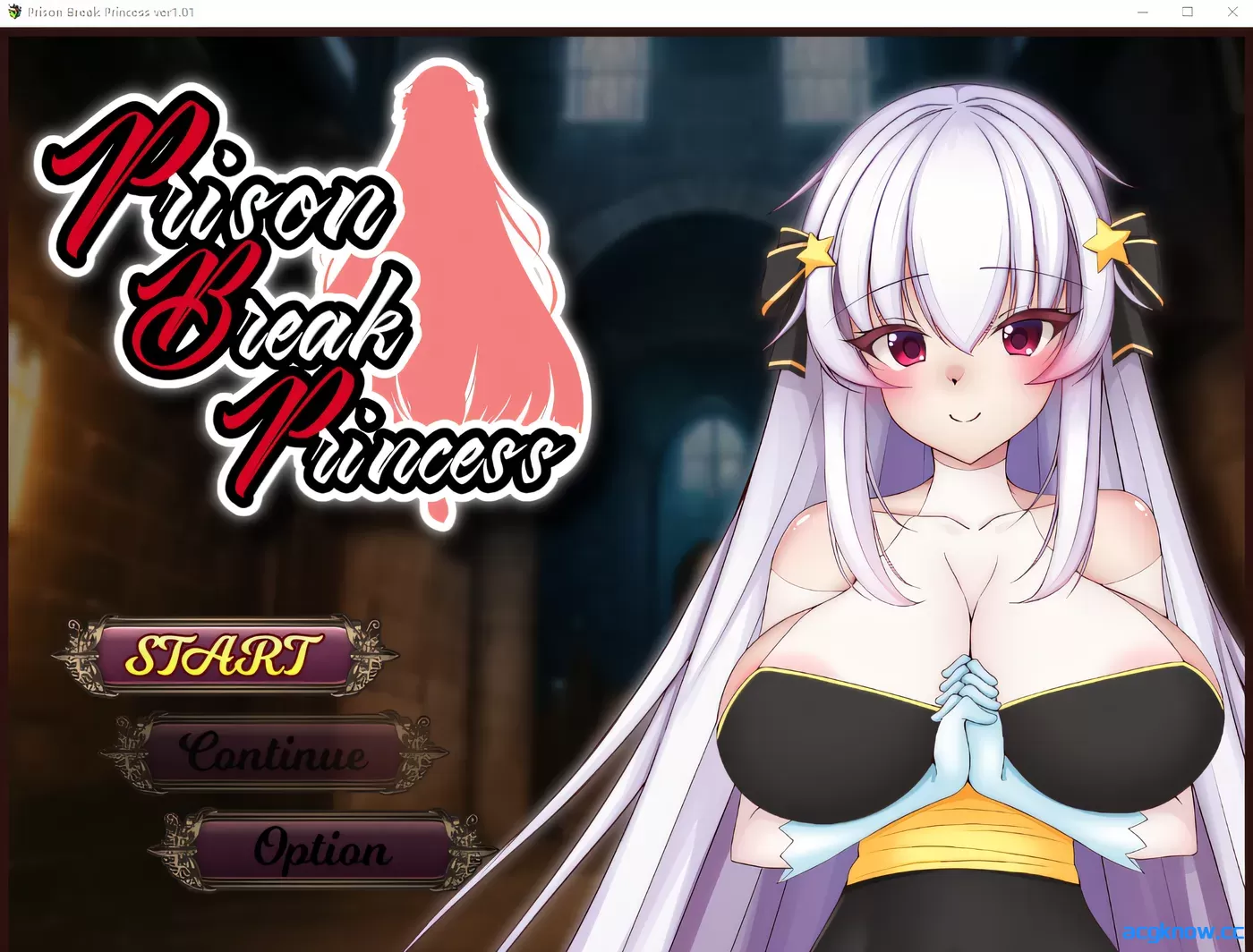 [PC][爆款日系RPG/官中]越狱公主 Prison Break Princess Ver1.01 官方中文版 [823M]-acgknow