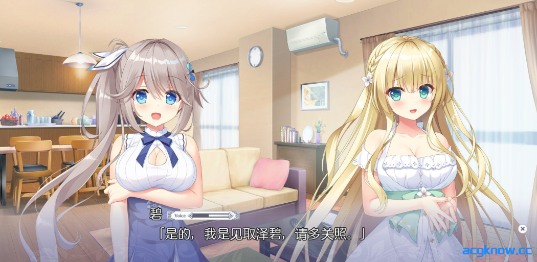 图片[15]-[PC][大型ADV/精翻/CV]梦幻的提尔纳诺 精翻汉化版+全CG存档[5.1G]-acgknow