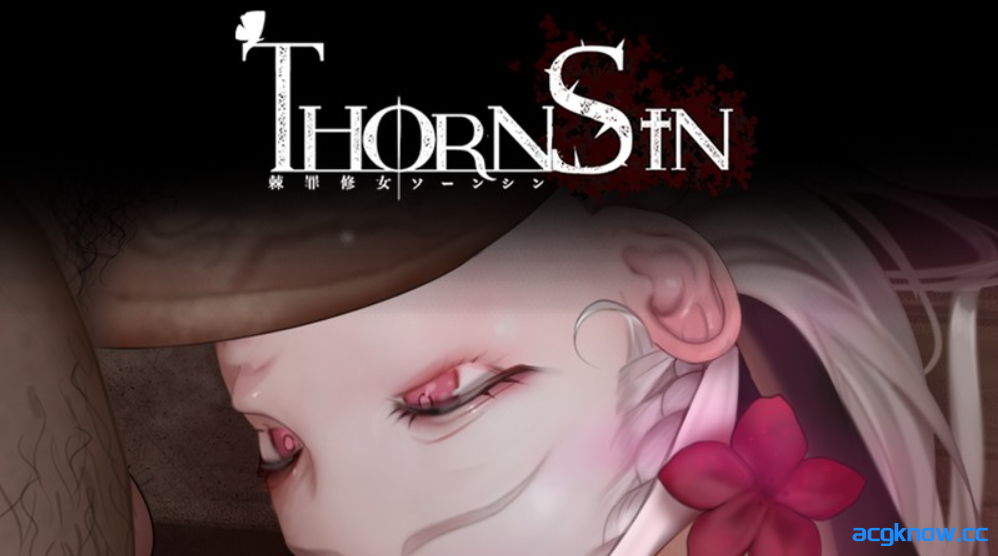 图片[5]-[PC] [ACT/官中/全动态] 棘罪修女-伊妮莎 ThornSin v0.7.1 官方中文版 [4.27G]-acgknow