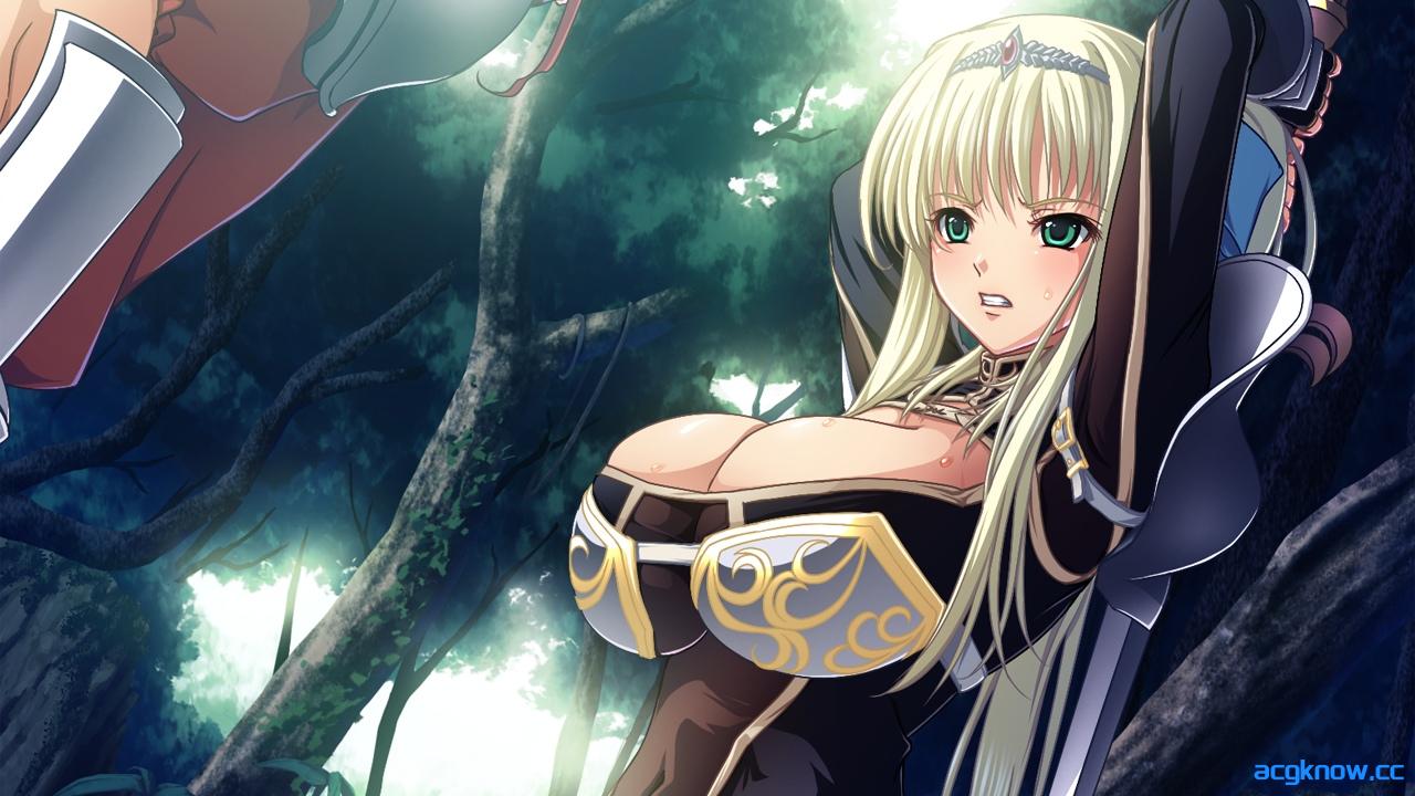 图片[3]-[PC][拔作ADV/精翻/全CV]巨乳幻想外传2 巨乳ファンタジー外伝2 精翻汉化步兵版+全CG存档[3.23G]-acgknow