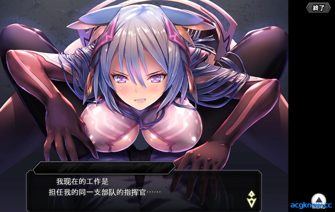 图片[4]-[PC][网游破解/中文/动态CG] 对魔忍 Taimanin RPGX 全绅士内容纯享 单机离线版2025.05月整合版[25.7G]-acgknow