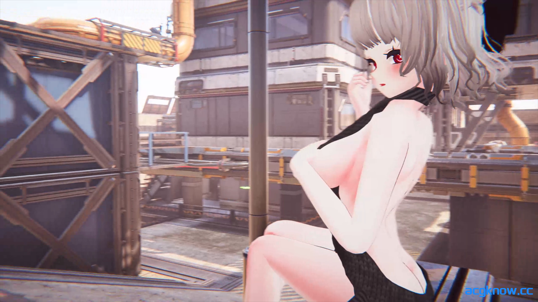图片[3]-[PC][3D/射击/官中/全动态] [MoeGame]枪灵少女 2 GunSoulGirl 2 Ver1.12A 官方中文版[22.4G]-acgknow