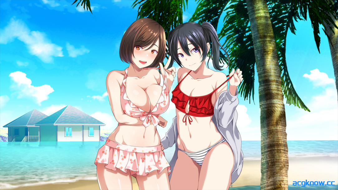 图片[3]-[PC][日系ADV/官中/后宫]群女乱滩齐斗艳：处男撒香引爆春潮海滩 Ver1.0.0 官方中文版[1.64G]-acgknow