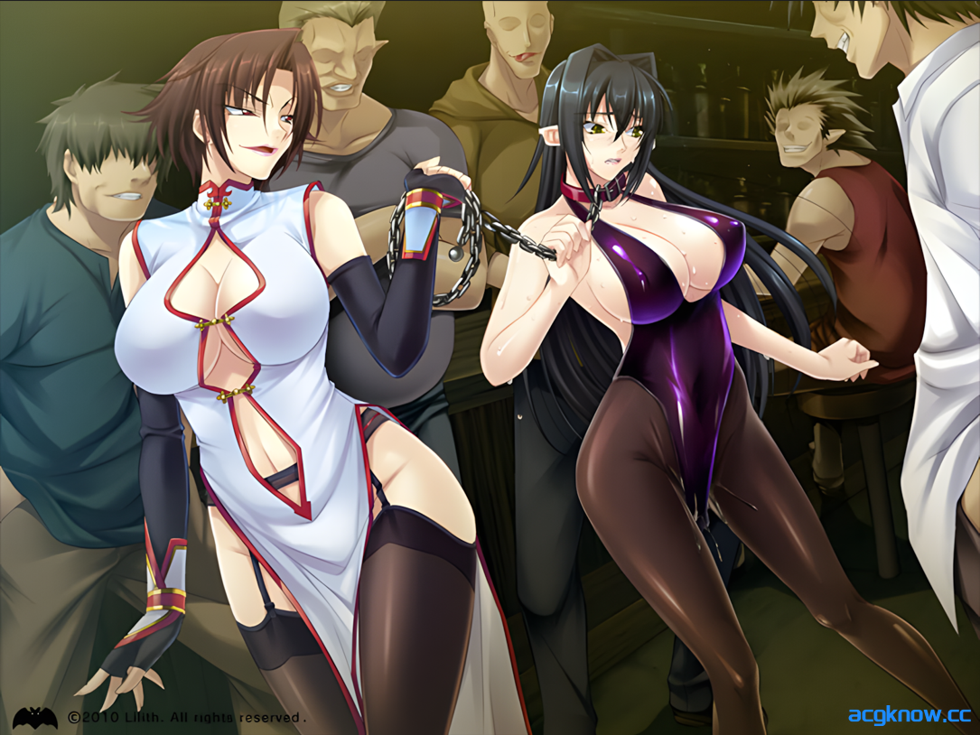 图片[2]-[PC] [拔作ADV/汉化/动态]钢铁魔女安妮罗丝 全系列典藏合集 AI汉化内嵌版+动画+CG[4.44G]-acgknow