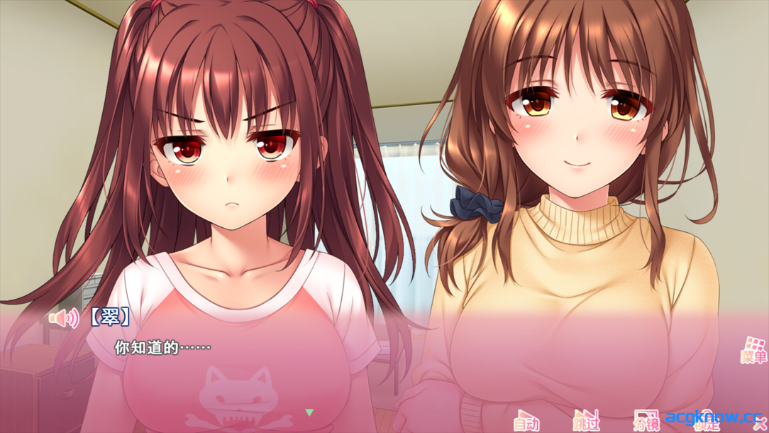 图片[2]-[PC] [日系SLG/官中/动态] 义妹私教辅导~哥哥我是家庭教师 Ver1.01 官方中文步兵版 [2.18G]-acgknow