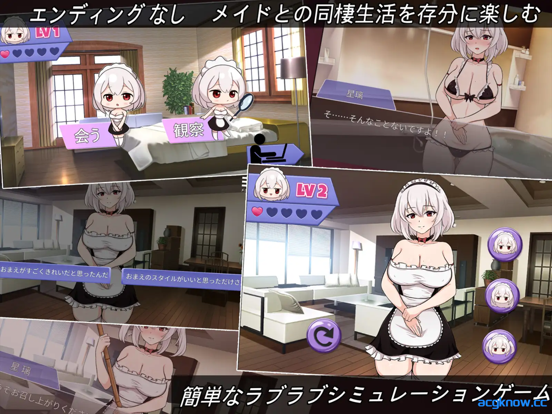图片[2]-[PC] [SLG/官中/动态]我的皇家女仆R 僕のロイヤルメイドR 官方中文版 [460M]-acgknow