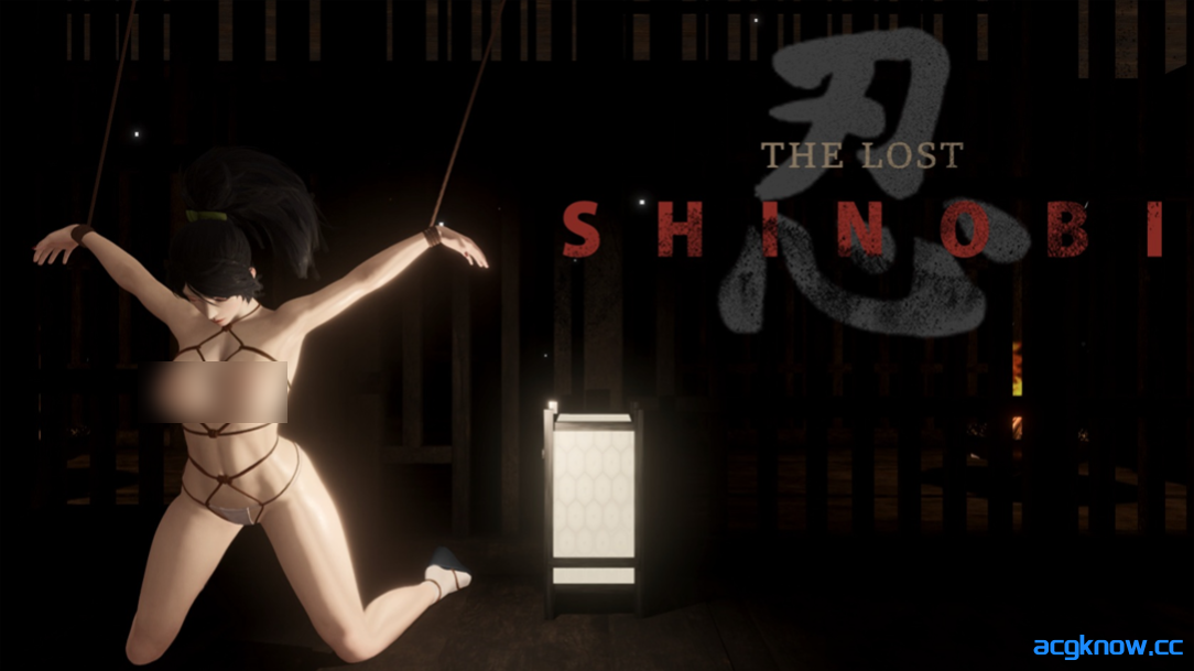图片[3]-[PC] [日系ACT/官中/全动态] 迷失的忍者 失落之忍者 The Lost Shinobi Ver0.1.0 官方中文版 [1.17G]-acgknow