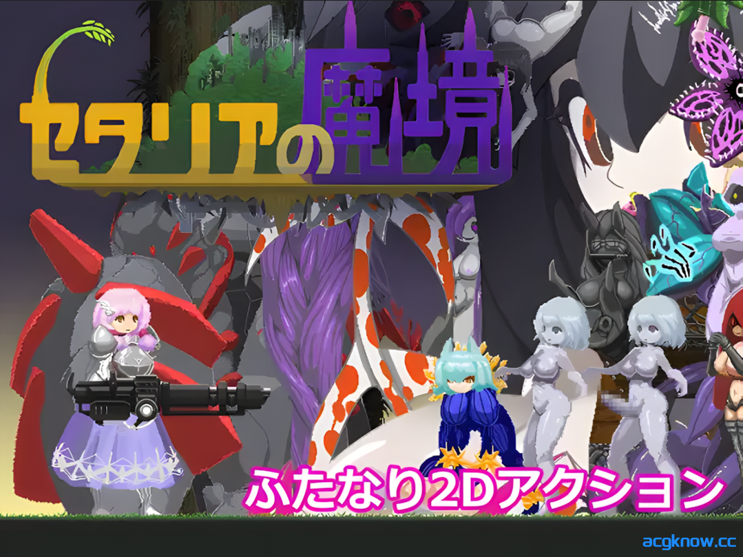 [PC] [日系像素ACT/精翻/全动态] 塞塔利亚魔镜 セタリアの魔境 Ver1.21 精翻汉化版 [139M]-acgknow