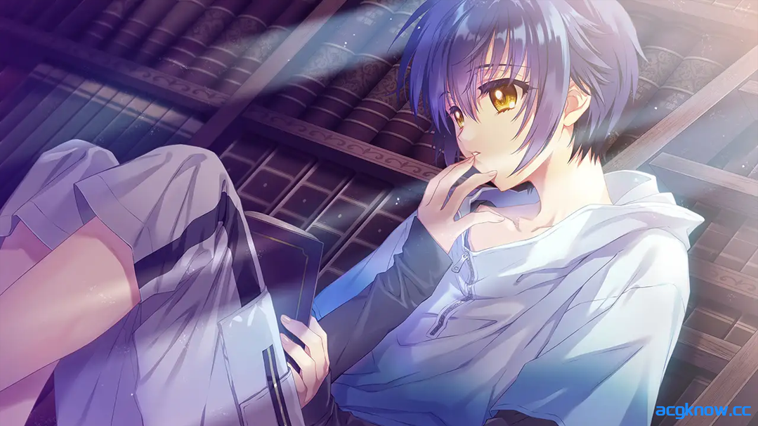 图片[2]-[PC] [日系启蒙ADV大作/汉化/巫女]无颜之月-待宵双椿 顔のない月-待宵の双椿- AI汉化内嵌版 [2G/CV]-acgknow