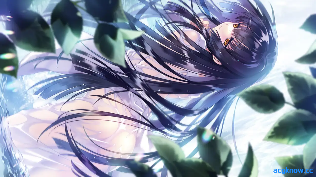 图片[3]-[PC] [日系启蒙ADV大作/汉化/巫女]无颜之月-待宵双椿 顔のない月-待宵の双椿- AI汉化内嵌版 [2G/CV]-acgknow