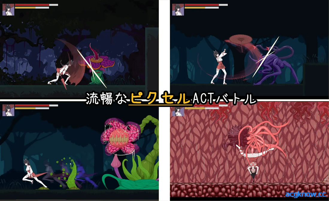 图片[2]-[PC][日系ACT/官中/全动态] 退魔巫女-異種淫獄 官方中文版 [362M]-acgknow