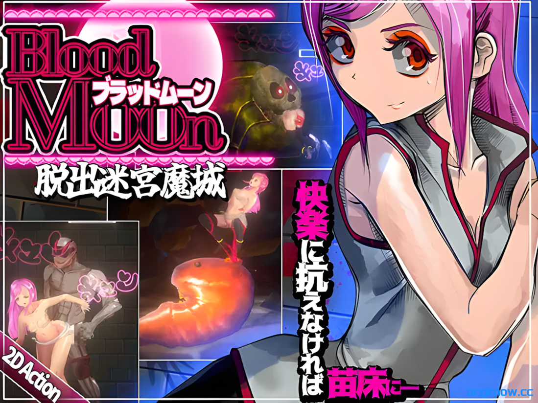 图片[2]-[PC] [ACT/官中/全动态] 血月：逃离迷宫魔城 ブラッドムーン 脱出迷宮魔城 官方中文版 [434M]-acgknow