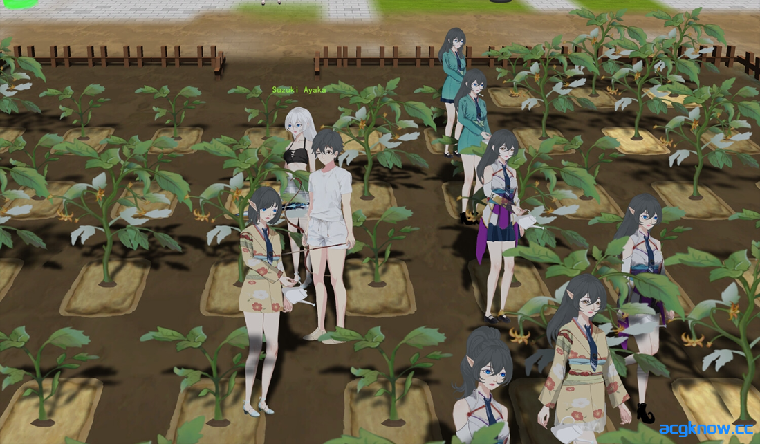图片[2]-[PC] [生存建设SLG/官中/动态] 农耕英雄的皇家后宫 Farming Hero’s Royal Harem 官方中文版 [780M]-acgknow