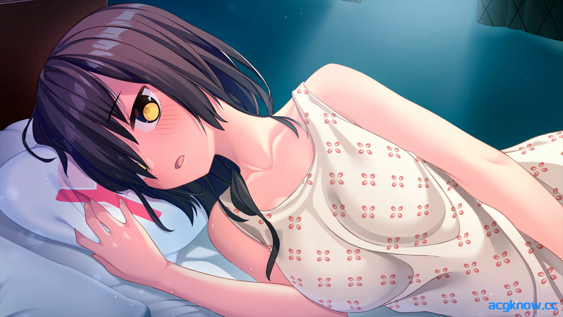 图片[2]-[PC][拔作ADV/官中/动态] 拔作岛 2 NUKITASHI 2 Ver2.02 官方中文版+DLC[7.18G/CV]-acgknow