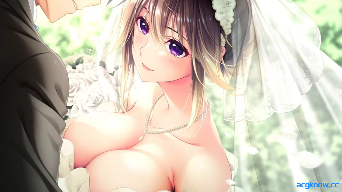 图片[2]-[PC][日系拔作ADV/汉化/后宫]与爆乳护士调情的色色住院生活 AI汉化版+全CG存档[3.82G/CV]-acgknow