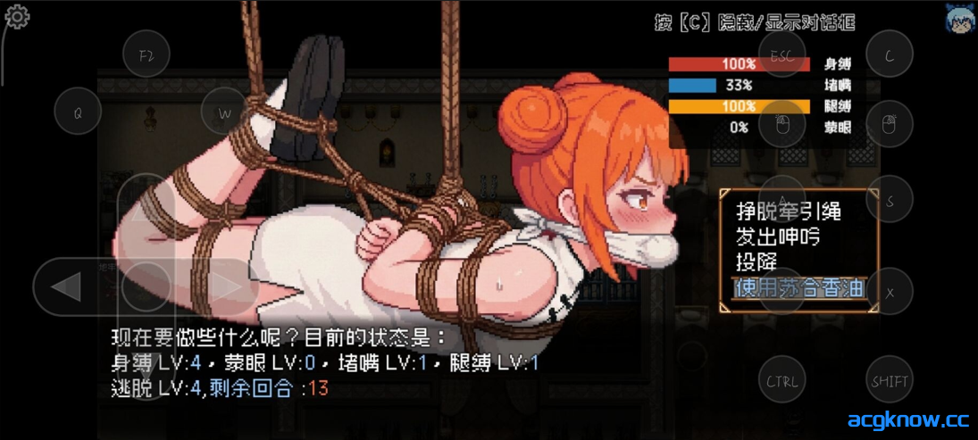 图片[2]-[PC+安卓joi] [日系RPG/官中/捆绑] 东方捕缚秘录 官方中文版[660M]-acgknow