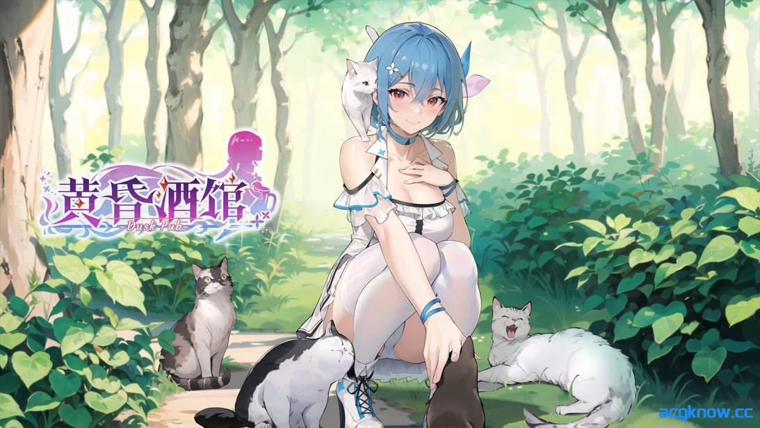 图片[2]-[PC][互动SLG/官中/后宫]黄昏酒馆 Dusk Pub v1.1.6 官方中文版+DLC[5.10G/CV]-acgknow