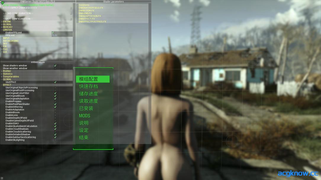 图片[5]-[PC][3A大作/中文/整合包/绅士MOD] 辐射4-次时代 Fallout 4 师爷制作V2.0 美化 完整1月最新版 [211G]-acgknow