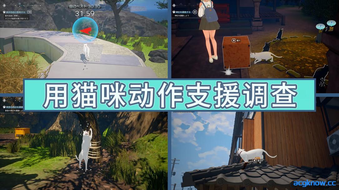 图片[3]-[PC][3D互动/官中/全动态]猫岛雨香 猫島ペトリコール v1.0.3788 官方中文步兵版[5.53G/CV]-acgknow