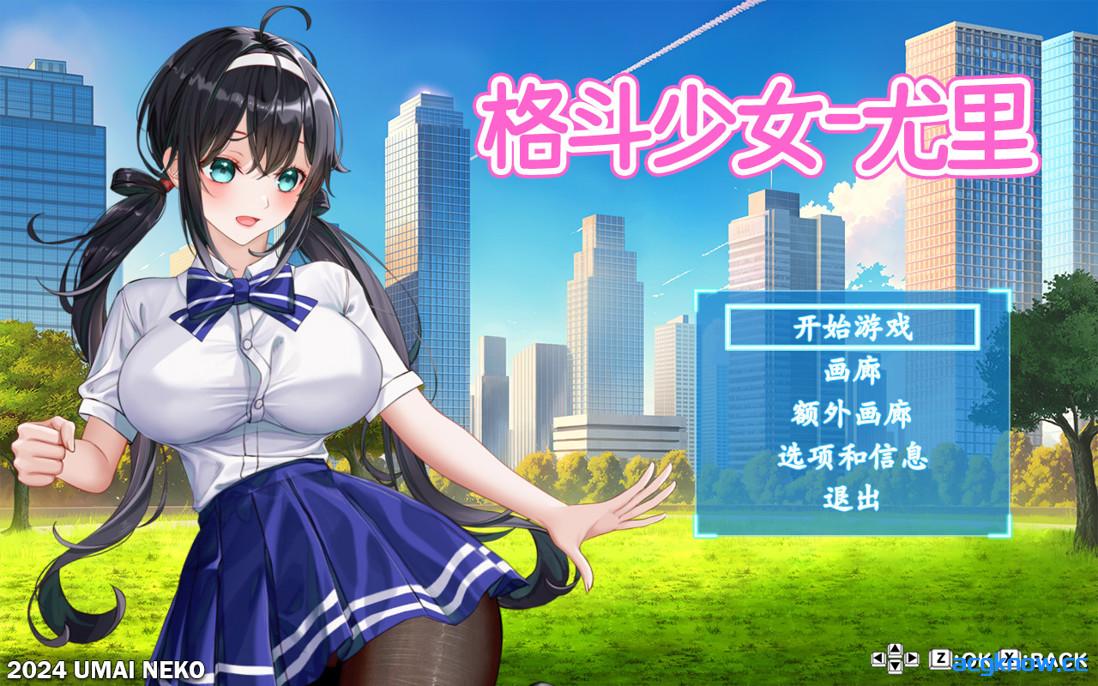 图片[1]-[PC][日系ACT/官中/全动态]格斗女孩·百合 ファイティングガール・ユリ 官方中文版[798M]-acgknow
