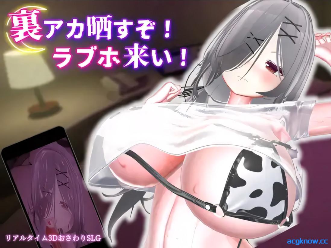 [PC][3D互动/官中/全动态]跟我开房！不然我曝光你小号！ 裏アカ晒すぞ！ラブホ来い！ 官方中文版[1.74G]-acgknow