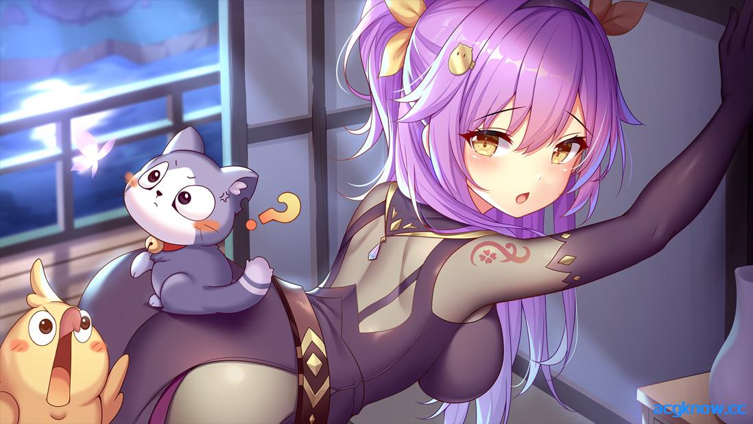 图片[2]-[PC][日系SLG/官中/步兵]樱姬6 Sakura Hime 6 桜姫6 官方中文步兵版[483M]-acgknow
