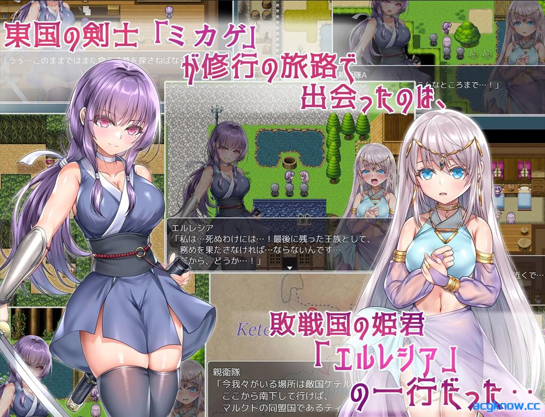 图片[2]-[PC+安卓joi][日系RPG/官中/步兵]死命必守！ 命に代えてもお守りします！ 官方中文步兵版[1.68G/CV]-acgknow