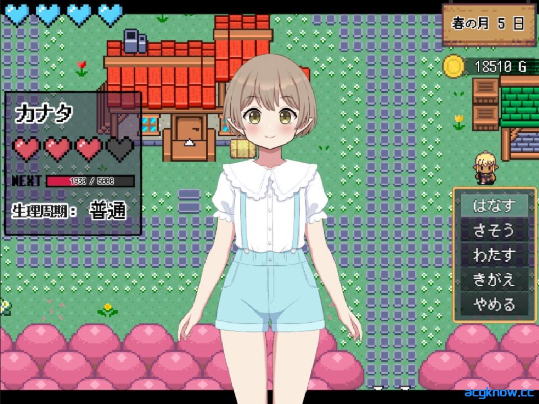 图片[3]-[PC+安卓joi][日系RPG像素/官中/步兵]世界树牧场：精灵传承 官方中文步兵版[1.26G]-acgknow