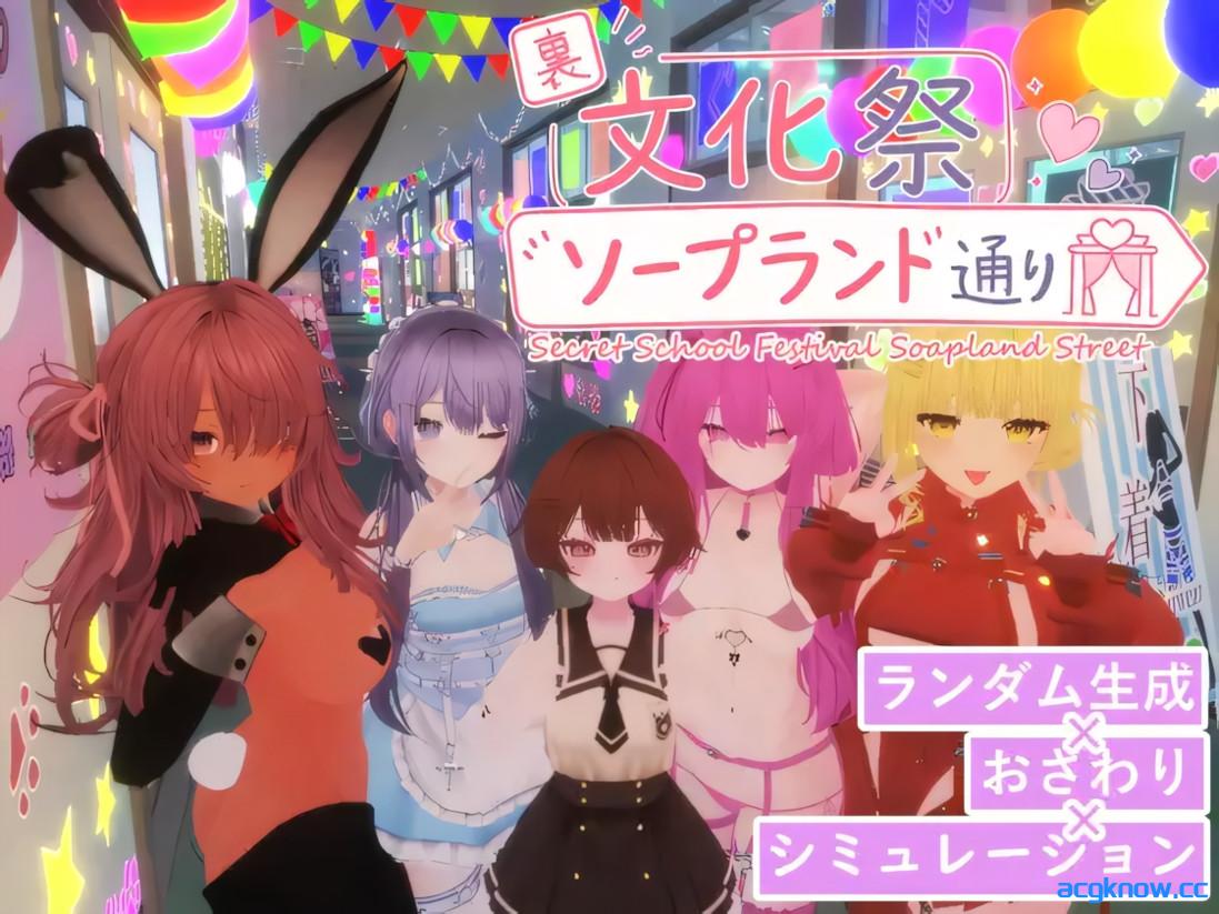 [PC][3D互动/官中/全动态]暗文化祭泡泡浴街 裏文化祭ソープランド通り v1.01 官方中文版[3.17G]-acgknow