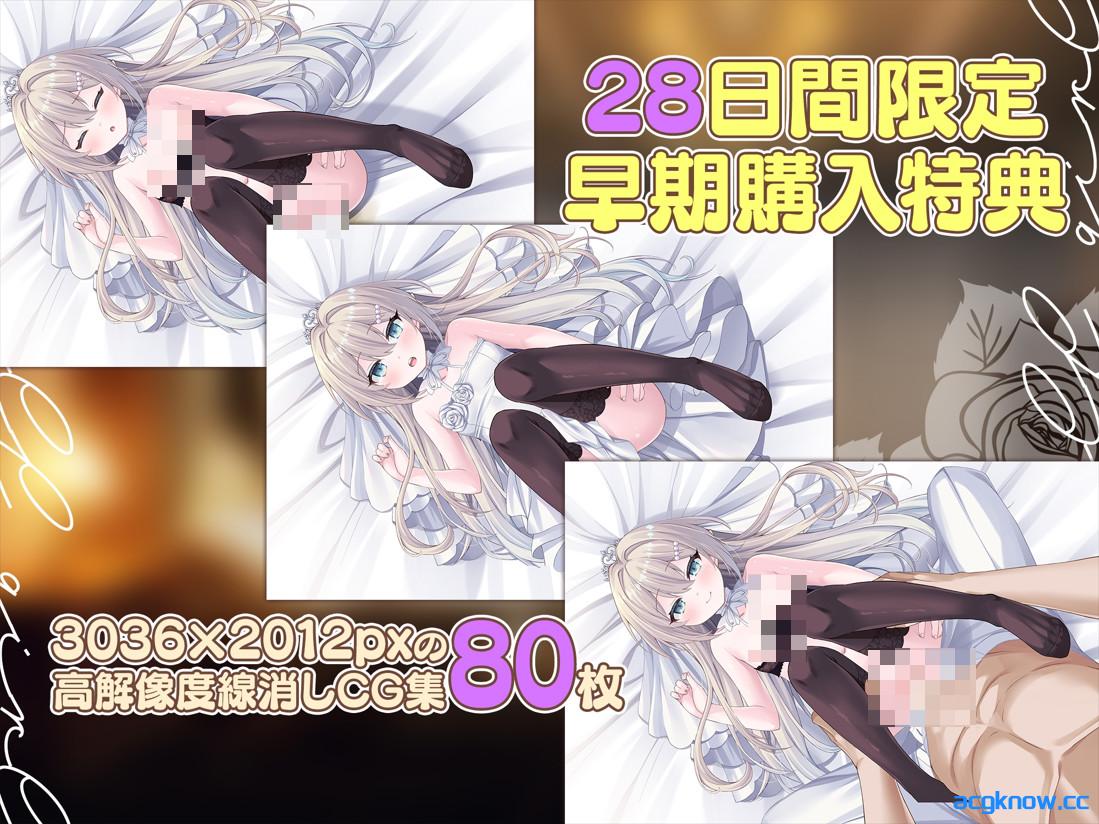 图片[3]-[PC+安卓][日系SLG/官中/动态]精灵少女。婚礼 エルフ娘。ウェディング 官方中文版+特典[595M]-acgknow