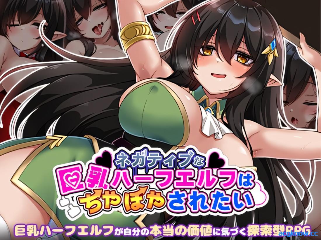 [PC+安卓joi][日系RPG/官中/步兵]悲观巨乳混血精灵想要受尽吹捧 官方中文步兵版[885M]-acgknow