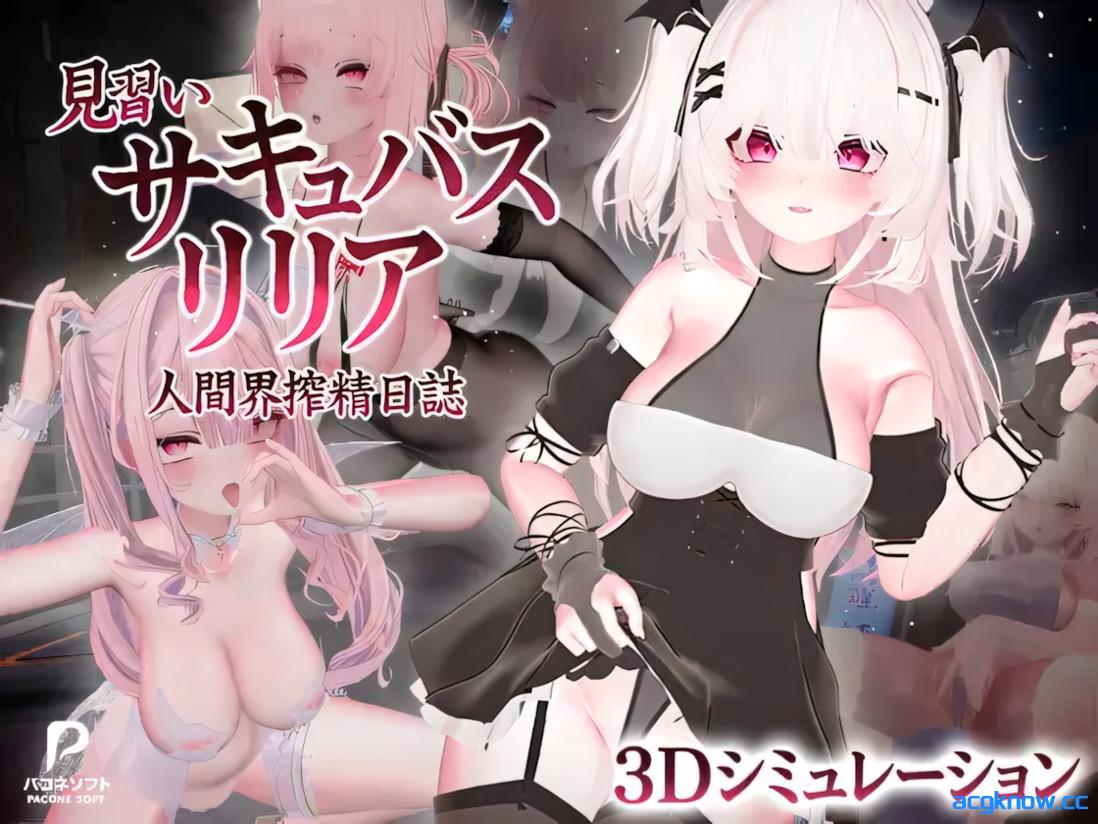 [PC][3D互动/官中/步兵]见习梦魔莉莉亚～人类界榨精日记～ Ver1.0 官方中文步兵版+存档[12.3G]-acgknow