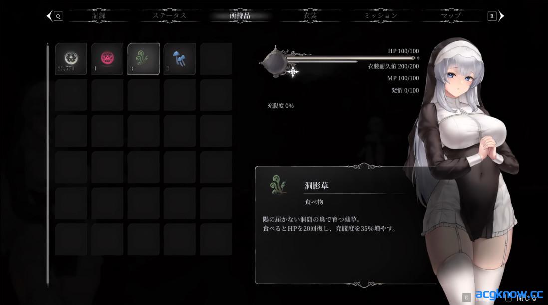 图片[4]-[PC][日系ACT精品/官中/恶堕]淫肉圣女～在修女的雌穴中刻下孕印～ v0.2.0 官方中文版[568M]-acgknow