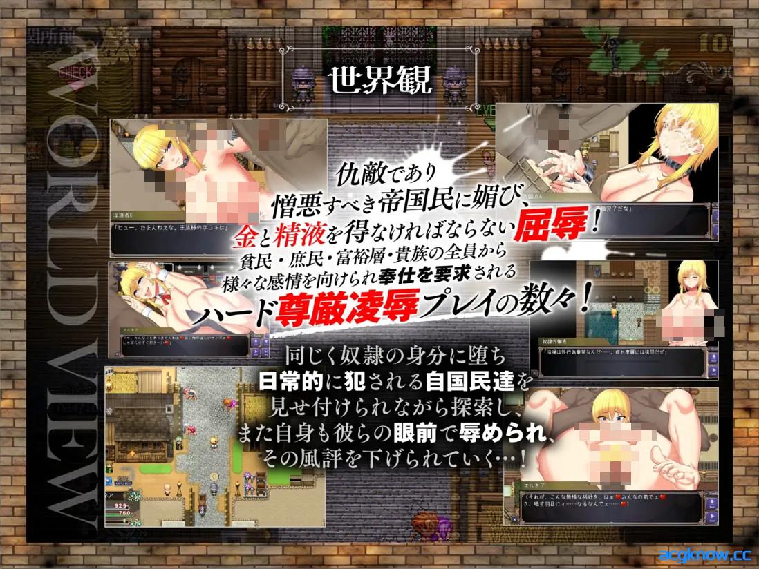图片[2]-[PC+安卓joi][日系RPG/官中/步兵]奴隶公主艾尔妮娅 敗戦隷姫エルネア 官方中文步兵版[2.71G/CV]-acgknow
