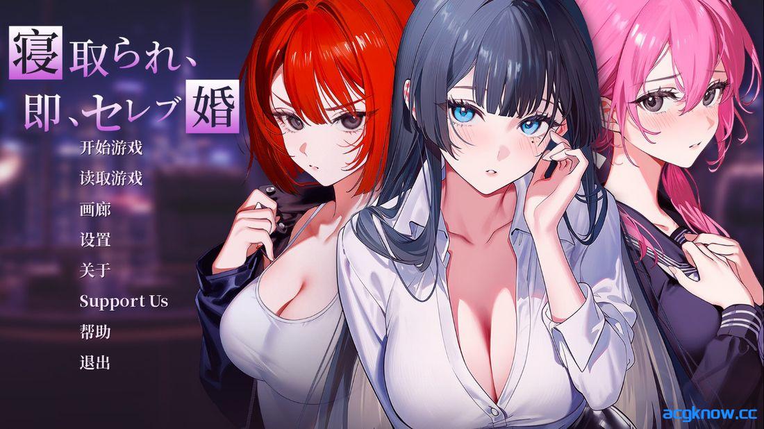[PC+安卓] [日系SLG/官中/动态] 被劈腿后，CEO竟然逼我当晚就结婚？！官方中文版 demo [1.53G]-acgknow
