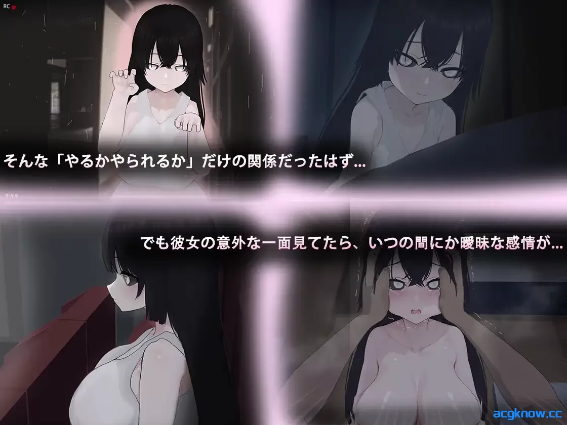 3.webp